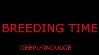 BREEDING TIME FOR YOUR PUSSY DADDY GETS YOU PREGGO (AUDIO ROLEPLAY) BREEDING BULL